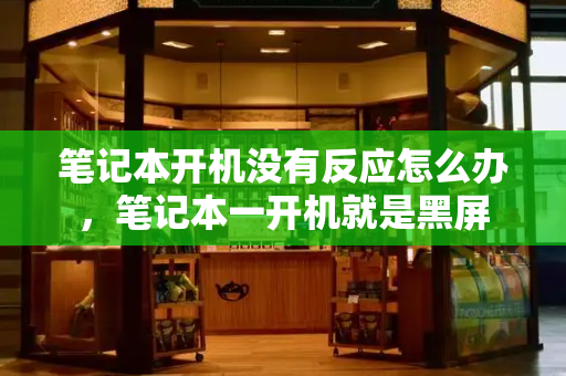 笔记本开机没有反应怎么办，笔记本一开机就是黑屏