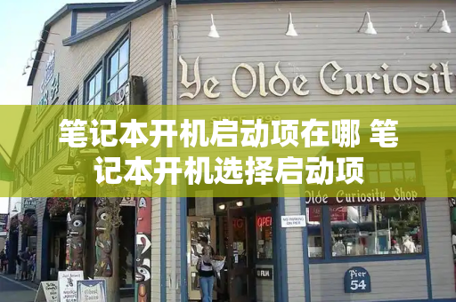笔记本开机启动项在哪 笔记本开机选择启动项-第1张图片-星选测评