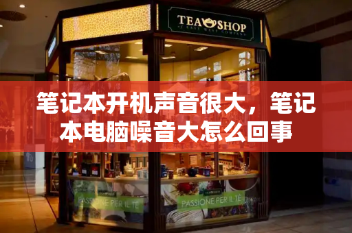 笔记本开机声音很大，笔记本电脑噪音大怎么回事-第1张图片-星选测评
