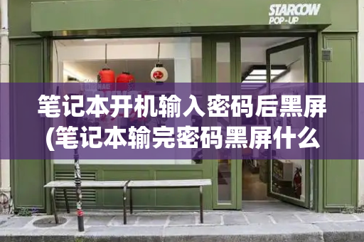 笔记本开机输入密码后黑屏(笔记本输完密码黑屏什么情况)