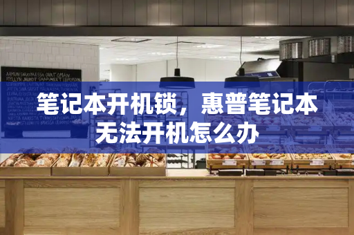 笔记本开机锁，惠普笔记本无法开机怎么办-第1张图片-星选测评