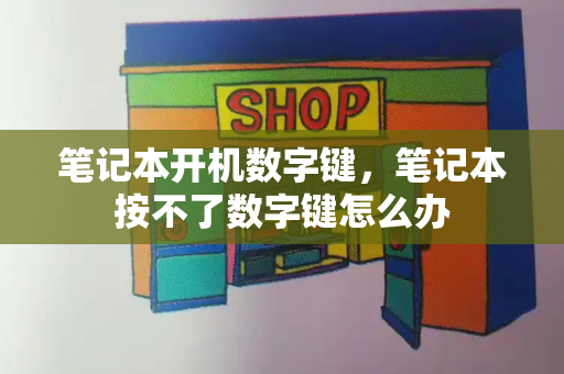 笔记本开机数字键，笔记本按不了数字键怎么办-第1张图片-星选测评