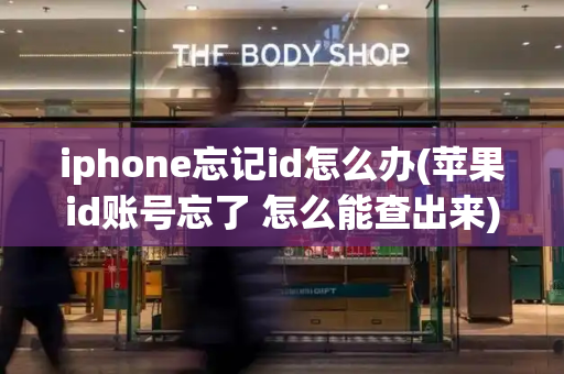 iphone忘记id怎么办(苹果id账号忘了 怎么能查出来)