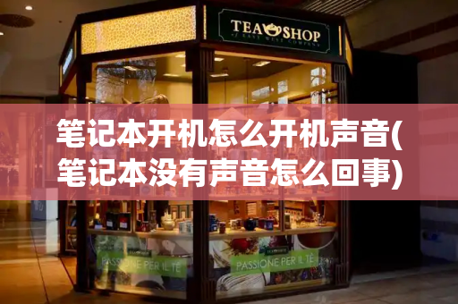 笔记本开机怎么开机声音(笔记本没有声音怎么回事)-第1张图片-星选测评