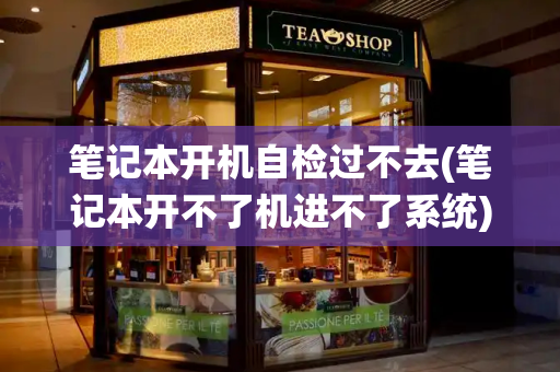笔记本开机自检过不去(笔记本开不了机进不了系统)