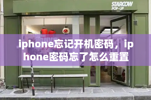 iphone忘记开机密码，iphone密码忘了怎么重置-第1张图片-星选测评
