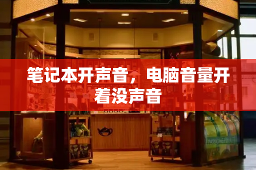 笔记本开声音，电脑音量开着没声音