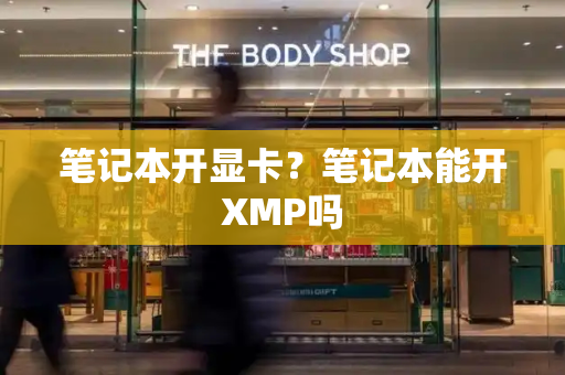 笔记本开显卡？笔记本能开XMP吗-第1张图片-星选测评