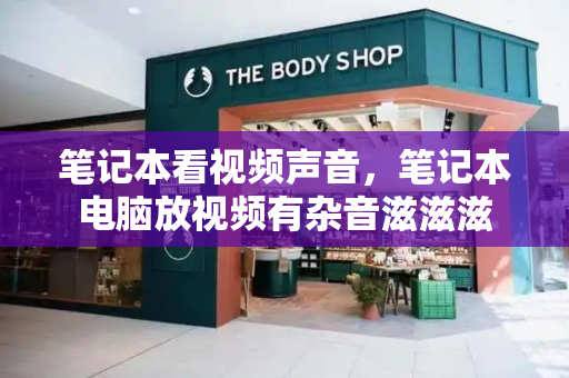 笔记本看视频声音，笔记本电脑放视频有杂音滋滋滋