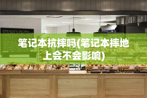 笔记本抗摔吗(笔记本摔地上会不会影响)-第1张图片-星选测评