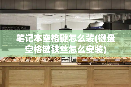 笔记本空格键怎么装(键盘空格键铁丝怎么安装)-第1张图片-星选测评