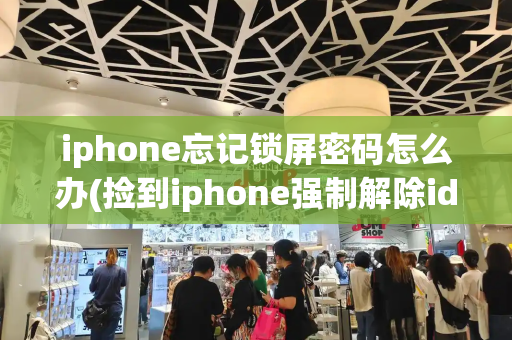 iphone忘记锁屏密码怎么办(捡到iphone强制解除id锁)