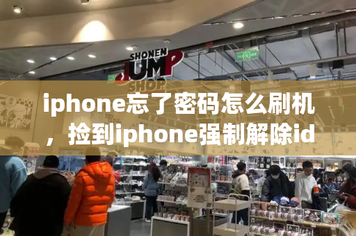 iphone忘了密码怎么刷机，捡到iphone强制解除id锁-第1张图片-星选测评