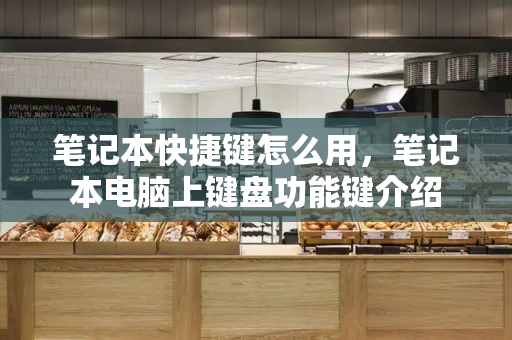 笔记本快捷键怎么用，笔记本电脑上键盘功能键介绍-第1张图片-星选测评
