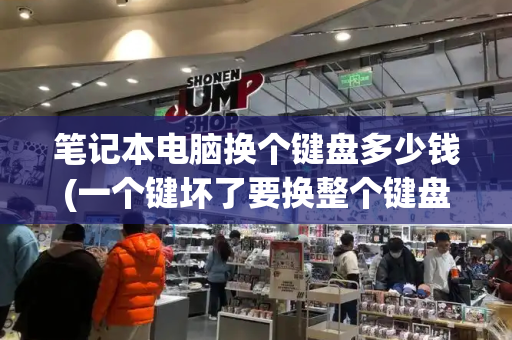 笔记本电脑换个键盘多少钱(一个键坏了要换整个键盘吗)
