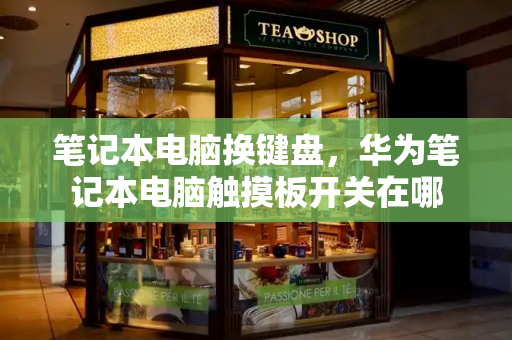 笔记本电脑换键盘，华为笔记本电脑触摸板开关在哪-第1张图片-星选测评