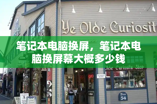 笔记本电脑换屏，笔记本电脑换屏幕大概多少钱-第1张图片-星选测评