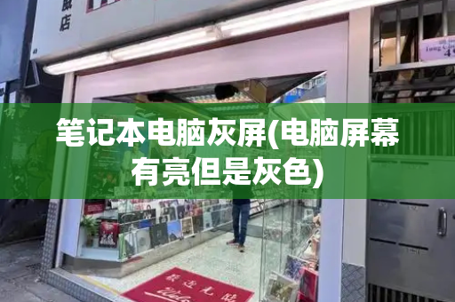 笔记本电脑灰屏(电脑屏幕有亮但是灰色)