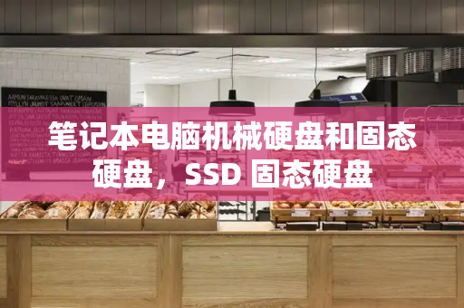 笔记本电脑机械硬盘和固态硬盘，SSD 固态硬盘