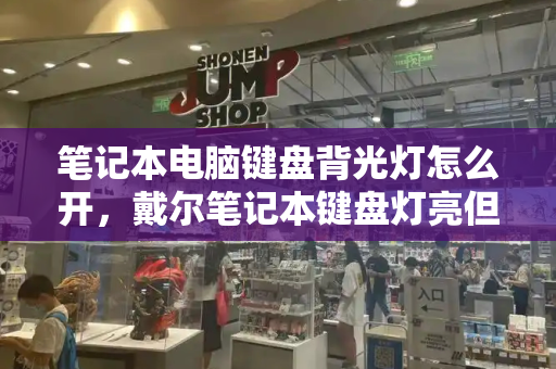 笔记本电脑键盘背光灯怎么开，戴尔笔记本键盘灯亮但是屏幕不亮-第1张图片-星选测评