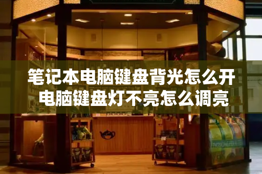 笔记本电脑键盘背光怎么开 电脑键盘灯不亮怎么调亮-第1张图片-星选测评