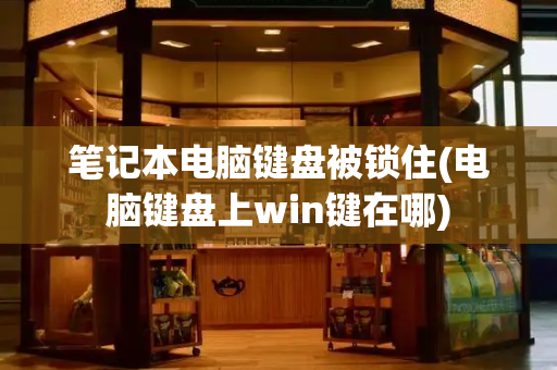 笔记本电脑键盘被锁住(电脑键盘上win键在哪)-第1张图片-星选测评