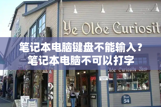 笔记本电脑键盘不能输入？笔记本电脑不可以打字-第1张图片-星选测评