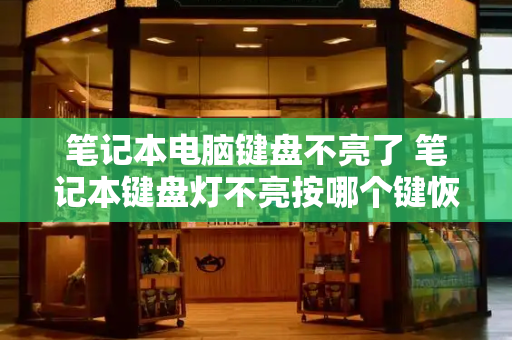 笔记本电脑键盘不亮了 笔记本键盘灯不亮按哪个键恢复-第1张图片-星选测评