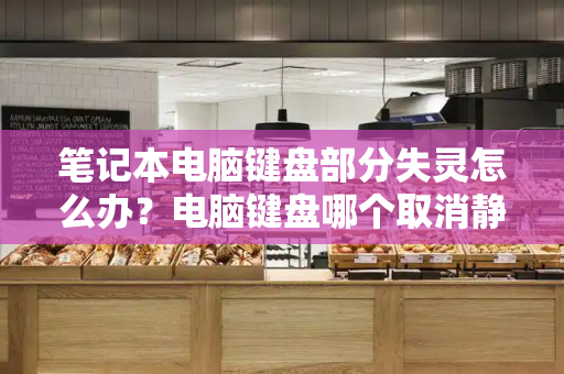 笔记本电脑键盘部分失灵怎么办？电脑键盘哪个取消静音-第1张图片-星选测评