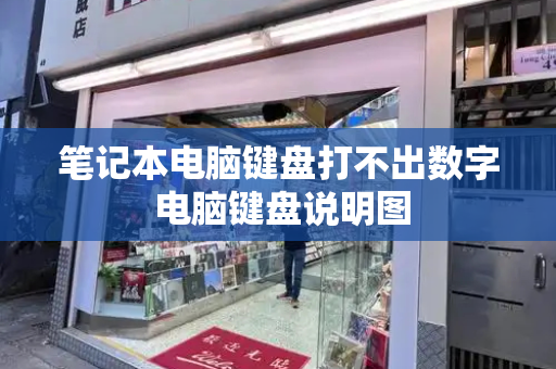 笔记本电脑键盘打不出数字 电脑键盘说明图-第1张图片-星选测评