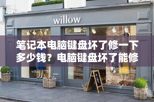 笔记本电脑键盘坏了修一下多少钱？电脑键盘坏了能修好吗-第1张图片-星选测评