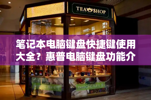 笔记本电脑键盘快捷键使用大全？惠普电脑键盘功能介绍-第1张图片-星选测评