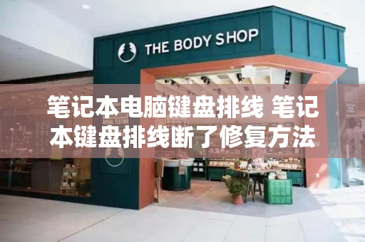 笔记本电脑键盘排线 笔记本键盘排线断了修复方法-第1张图片-星选测评