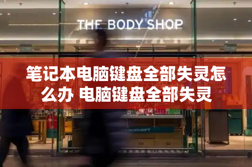 笔记本电脑键盘全部失灵怎么办 电脑键盘全部失灵