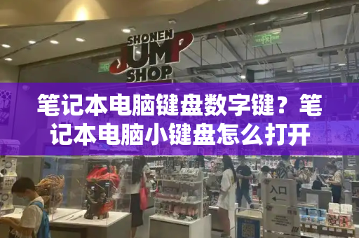笔记本电脑键盘数字键？笔记本电脑小键盘怎么打开
