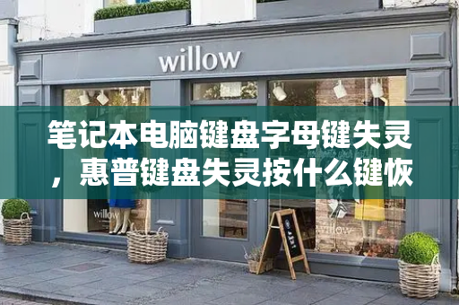 笔记本电脑键盘字母键失灵，惠普键盘失灵按什么键恢复