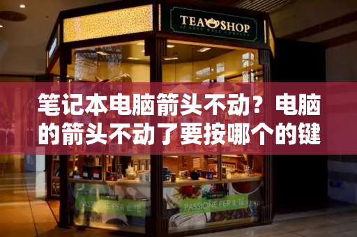 笔记本电脑箭头不动？电脑的箭头不动了要按哪个的键-第1张图片-星选测评