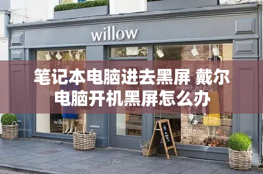 笔记本电脑进去黑屏 戴尔电脑开机黑屏怎么办-第1张图片-星选测评