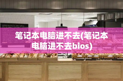 笔记本电脑进不去(笔记本电脑进不去bios)-第1张图片-星选测评