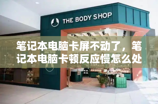 笔记本电脑卡屏不动了，笔记本电脑卡顿反应慢怎么处理-第1张图片-星选测评