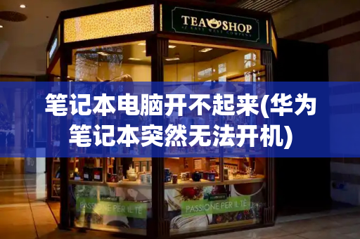 笔记本电脑开不起来(华为笔记本突然无法开机)-第1张图片-星选测评