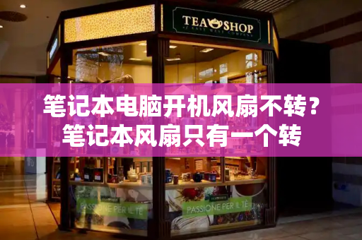 笔记本电脑开机风扇不转？笔记本风扇只有一个转-第1张图片-星选测评