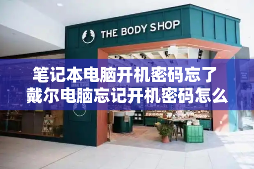 笔记本电脑开机密码忘了 戴尔电脑忘记开机密码怎么办-第1张图片-星选测评