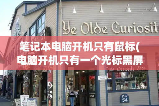 笔记本电脑开机只有鼠标(电脑开机只有一个光标黑屏)-第1张图片-星选测评