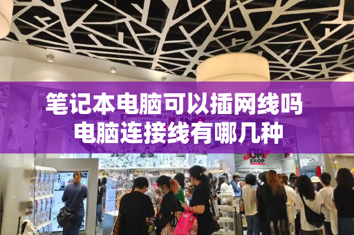 笔记本电脑可以插网线吗 电脑连接线有哪几种-第1张图片-星选测评