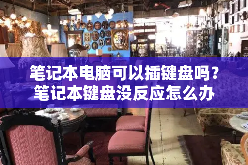 笔记本电脑可以插键盘吗？笔记本键盘没反应怎么办-第1张图片-星选测评