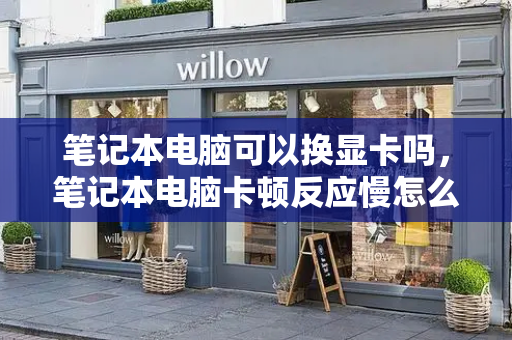 笔记本电脑可以换显卡吗，笔记本电脑卡顿反应慢怎么处理-第1张图片-星选测评