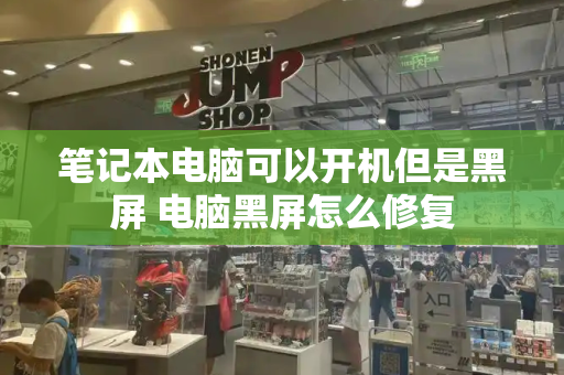笔记本电脑可以开机但是黑屏 电脑黑屏怎么修复