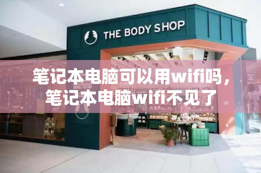 笔记本电脑可以用wifi吗，笔记本电脑wifi不见了-第1张图片-星选测评
