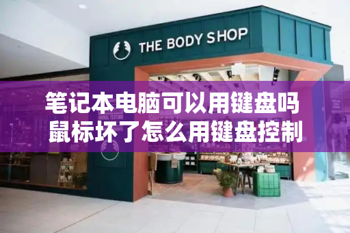 笔记本电脑可以用键盘吗 鼠标坏了怎么用键盘控制